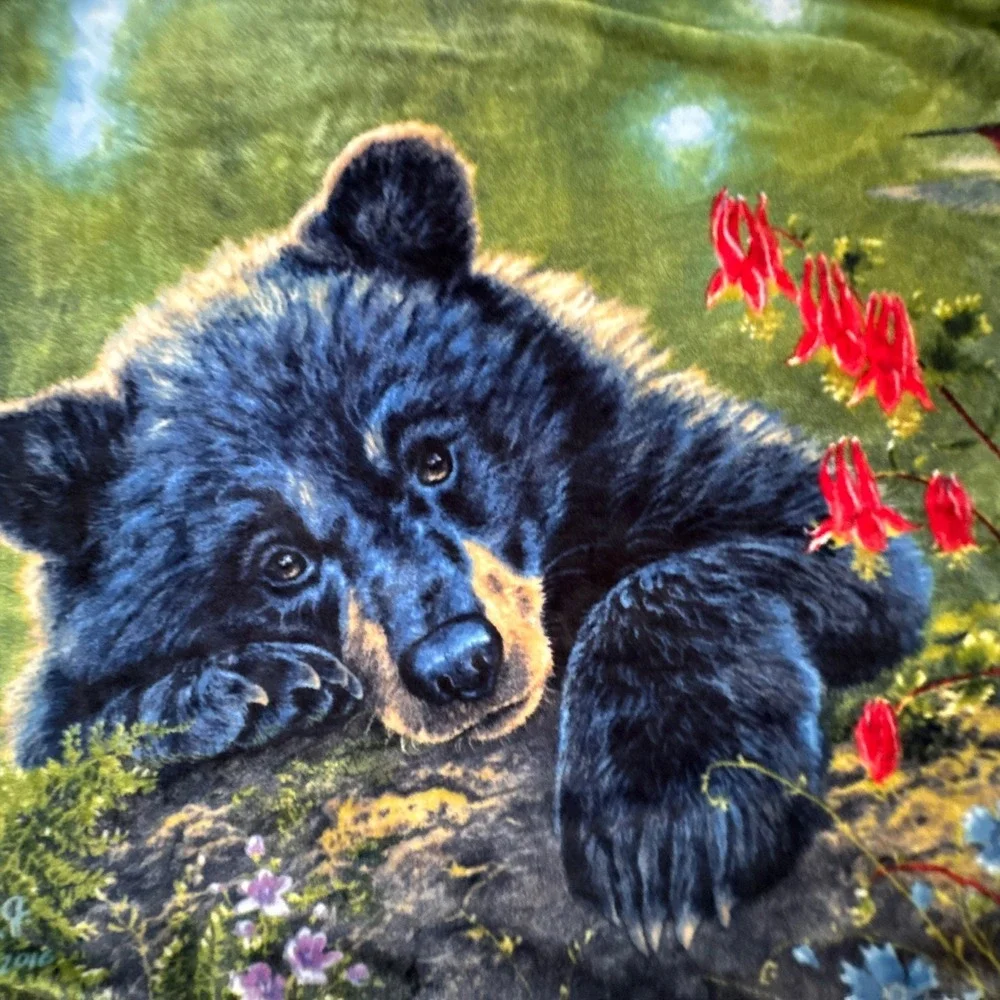 Northwest Plush Throw Blanket Bear Cub Bird Wish I Could Fly Artist Hunter 50x60